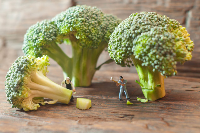 shutterstock_206099362 Small people cutting broccoli. The concept of cooking.