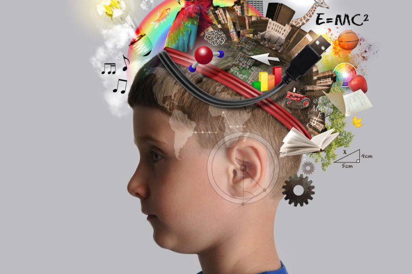 shutterstock_224496985 A child has various education and school objects on his head with a isolated background. Subjects are art, science, technology and nature.