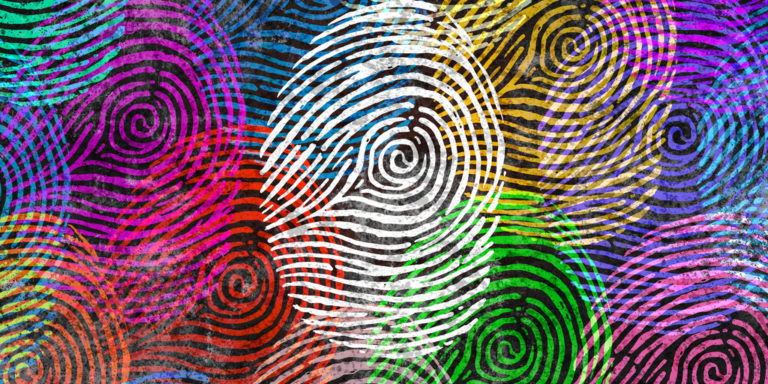 Diversity Identity And Privacy Concept