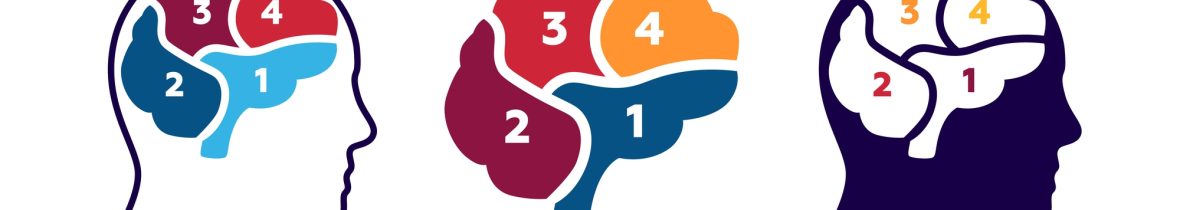 Diagram Of The Brain With Numbered Sections In Three Different A